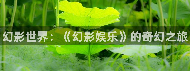 星空娱乐传媒有限公司：幻影世界：《幻影娱乐》的奇幻之旅