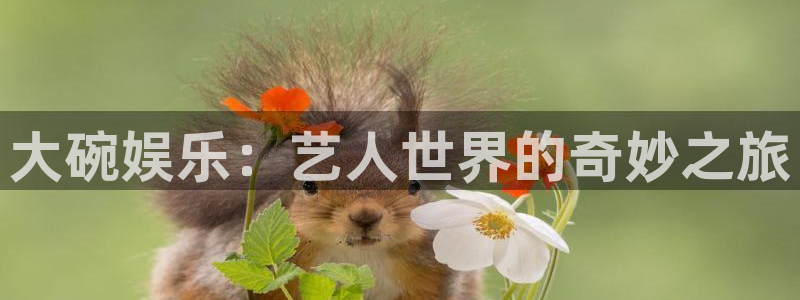星空娱乐城：大碗娱乐：艺人世界的奇妙之旅