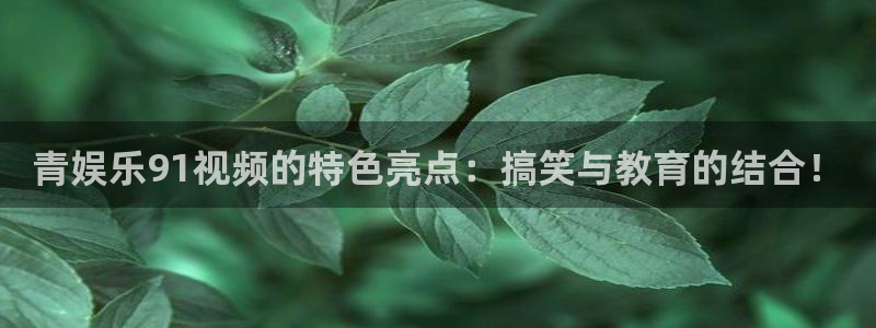 星空娱乐app：青娱乐91视频的特色亮点：搞笑与教育的结合！