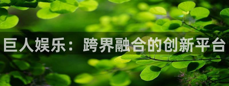 星空娱乐网站：巨人娱乐：跨界融合的创新平台