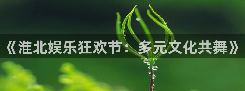星空娱乐93299：《淮北娱乐狂欢节：多元文化共舞》