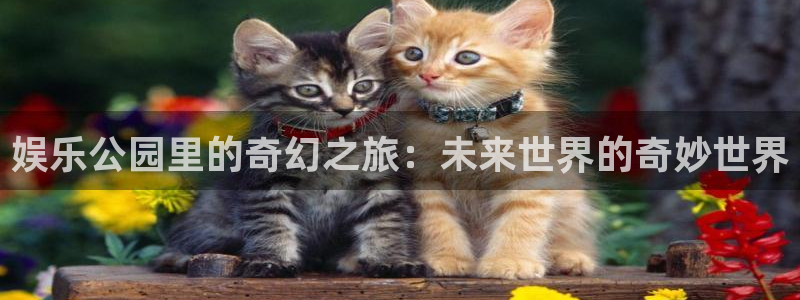 星空娱乐2929：娱乐公园里的奇幻之旅：未来世界的奇妙世界