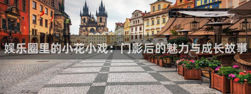 星空娱乐城：娱乐圈里的小花小戏：门影后的魅力与成长故事
